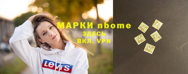 крисы Елабуга