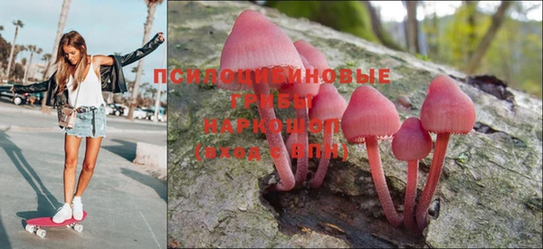 крисы Елабуга