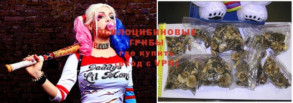 бошки Елизово