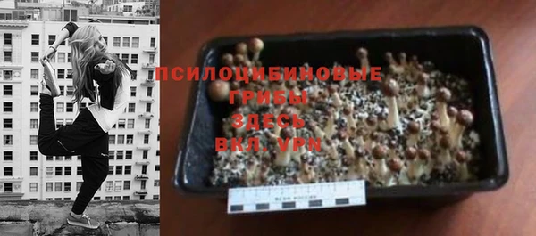 MDMA Premium VHQ Ельня