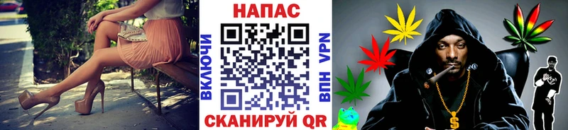 Бошки Шишки планчик  Купить где  Пятигорск 